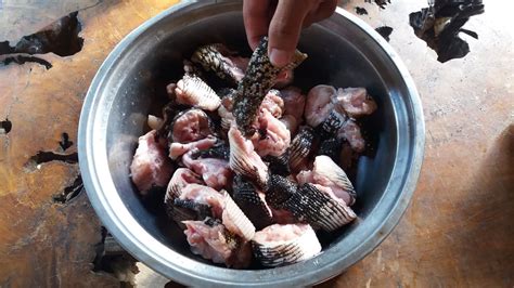 adobong bayawak